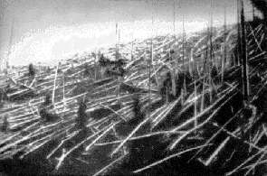 Imagen de la región Siberiana de Tunguska, tomada en 1927 por el experto Ruso Leonid Alekseyevich, durante su segunda expedición a la zona afectada por el bólido.
